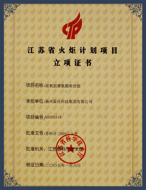 江蘇省火炬計(jì)劃項(xiàng)目立項(xiàng)證書(shū)